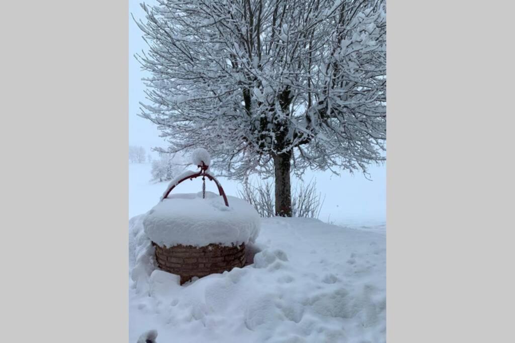 T2 Tout Confort, Depart Ski De Fond Depuis Le Jardin Apartman Les Rousses Kültér fotó