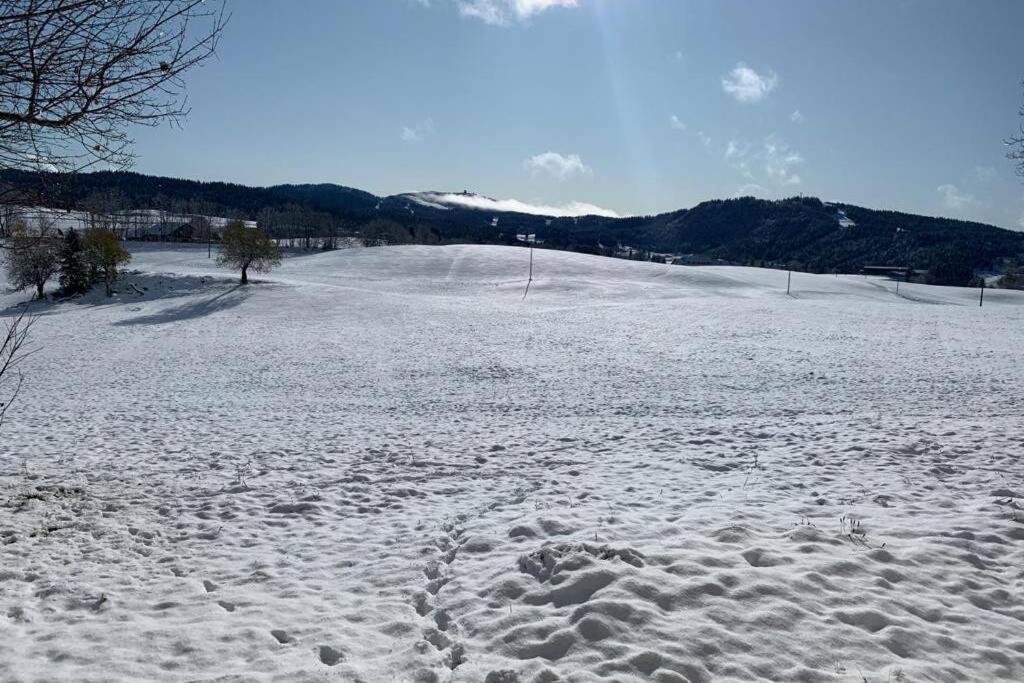 T2 Tout Confort, Depart Ski De Fond Depuis Le Jardin Apartman Les Rousses Kültér fotó